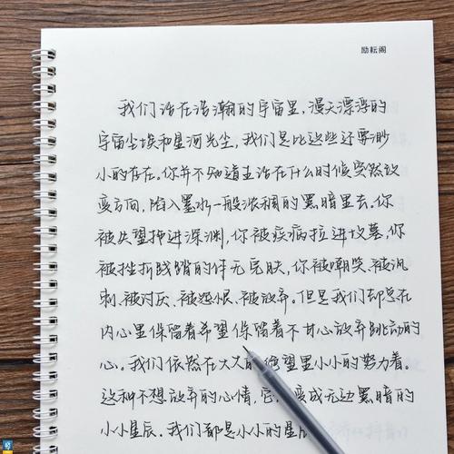 成人速成硬笔临摹练字本小清新陈大可手写体字帖小时光手写体字贴