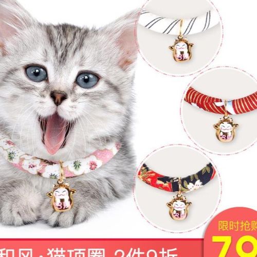 猫咪项圈带手工猫项圈猫项链链猫牌猫咪用品