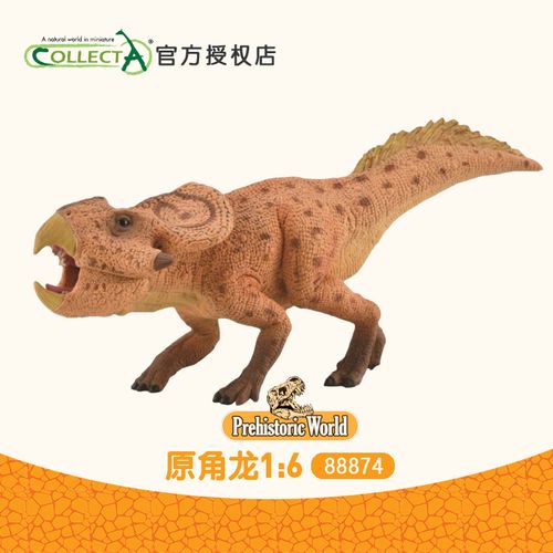 正品英国collecta我你他1:6原角龙仿真恐龙史前儿童玩具科普88874