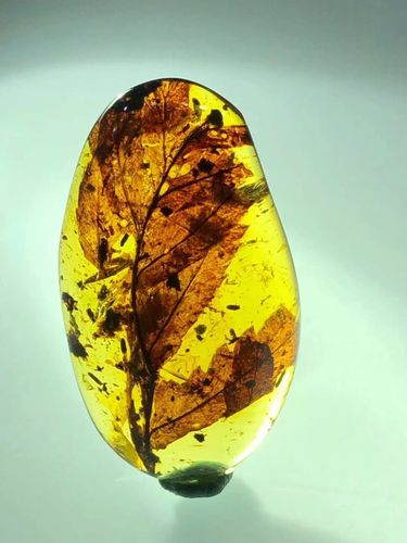 【素缘】缅甸纯天然虫珀吊坠1227琥珀带植物叶子标本挂件戒面坠子