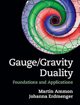 【预售】gauge/gravity duality: foundations and applications
