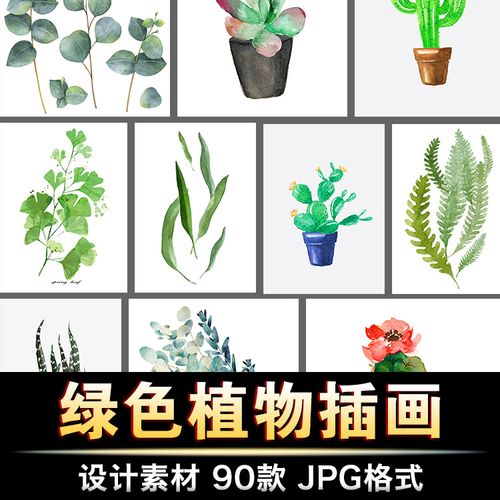 北欧文艺小清新绿色植物仙人掌叶子装饰插画花芯高清图片印刷素材