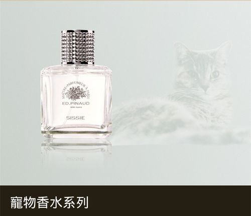 ep女士爱德华皮诺淡香水白茉莉深情之吻宠物香水100ml