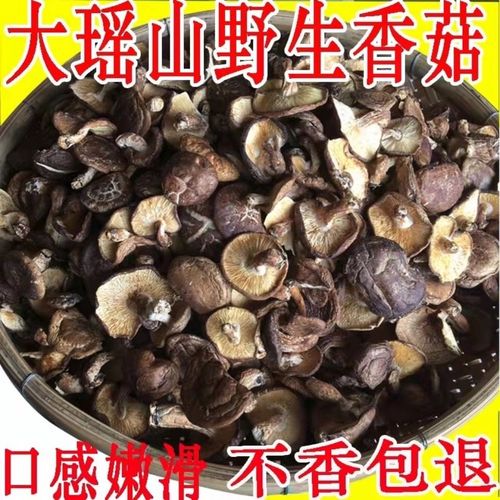 广西金秀大瑶山野生香菇干货特产香菇肉薄农家特产野生香菇味鲜美