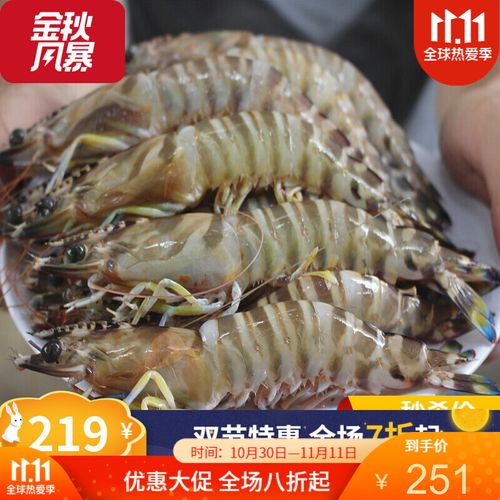 海南三亚海鲜 新鲜鲜活海虾 斑节虾 九节虾 虎皮虾 老虎虾1斤