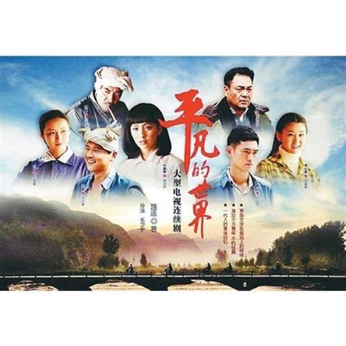 平凡的世界 电视剧全集16g优盘视频 佟丽娅袁弘李小萌 车载家用