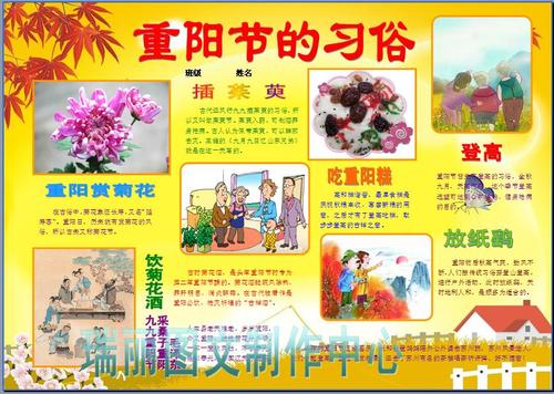 重阳节习俗彩色电子小报每逢佳节倍思亲电脑手抄报
