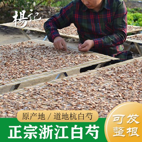 生白芍片 野生浙白芍500g 杭白芍中药材白芍(另售炒白芍白术茯苓