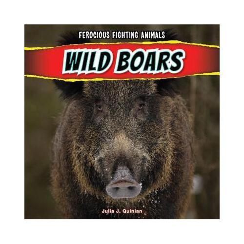 【预订】wild boars