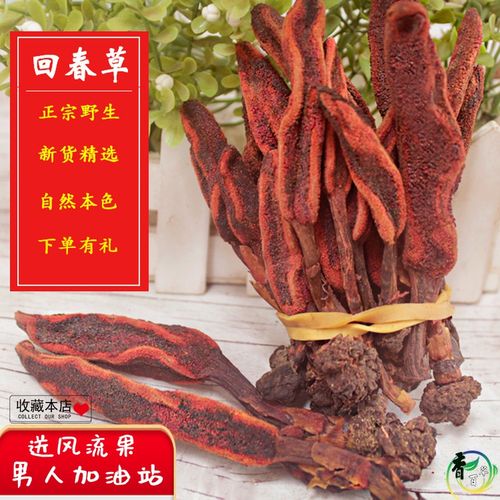 野生回春草不老草250g克顶天柱草苁蓉男性泡酒料滋补煲汤续阳草