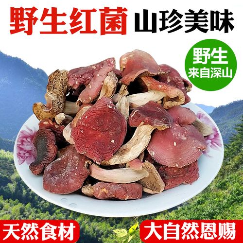 野生红菌干货500g湖南特产野山菌红菇野生菌杂菌子红蘑菇干菌菇类