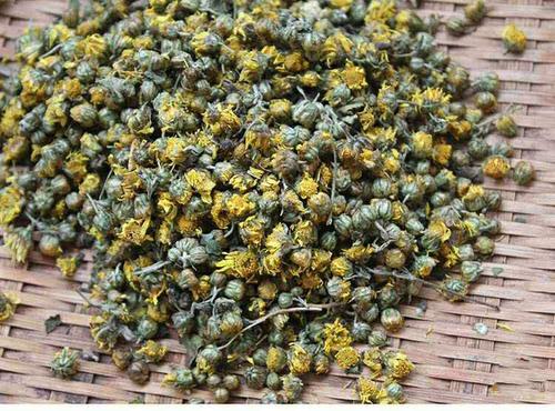 野菊花胎菊特级 高山野生菊花茶小黄菊 新鲜山菊花苦