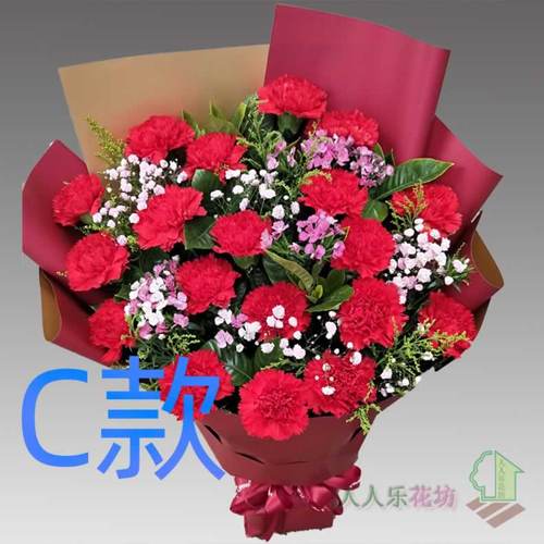 生日周年康乃馨河南周口花店送花项城市扶沟县西华县