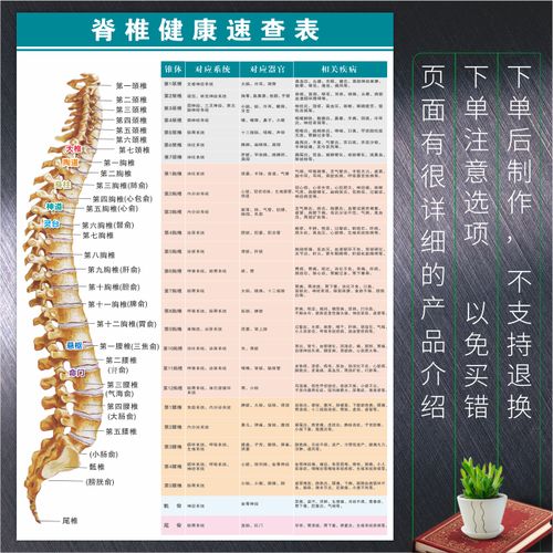 脊椎健康速查表人体脊柱相关疾病示意图中医养生健康宣传海报印刷