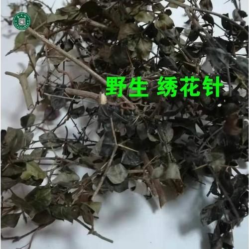 野生草药 虎刺鸟不宿中药材伏牛花山草药绣花针寿星草 500g克包邮