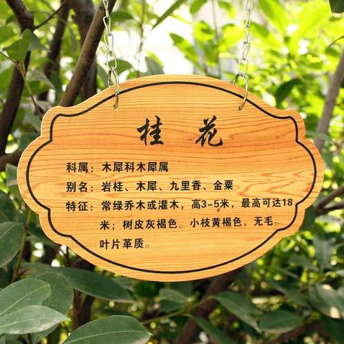定制做pvc亚克力树牌植物认养介绍名铭花草牌园林绿化标识广告