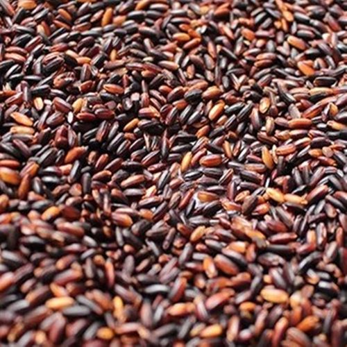 农家黑糯米 黑糯米 血糯米 紫糯米 杂粮粗粮 黑糯米