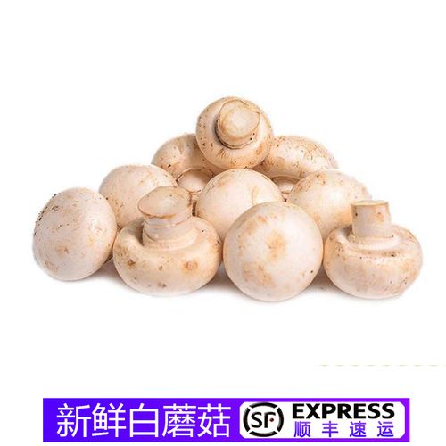 【顺丰】口蘑 新鲜白蘑菇 食用菌菇 500g