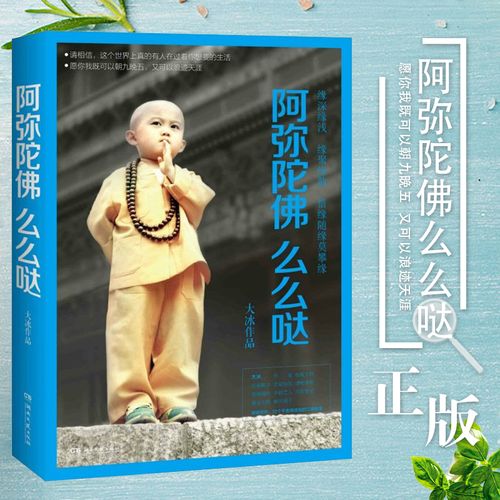 阿弥陀佛么么哒 大冰继乖摸摸头 我不 暖心励志故事随笔青春励志丛