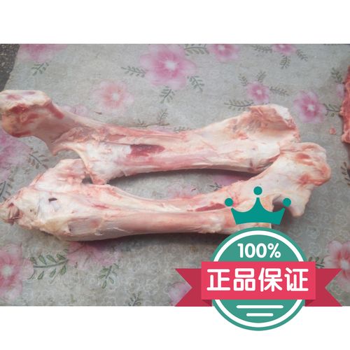 牛后腿骨