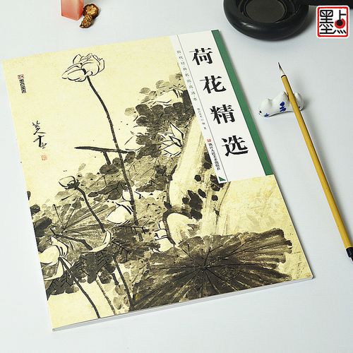 国画临摹画册墨点美术绘画书籍历代经典名画高清本花鸟精选画集浙江