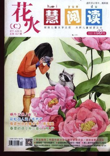 花火 慧阅读  原:花火·c  原:花火·小学生作文辅导 原:少年作文辅导