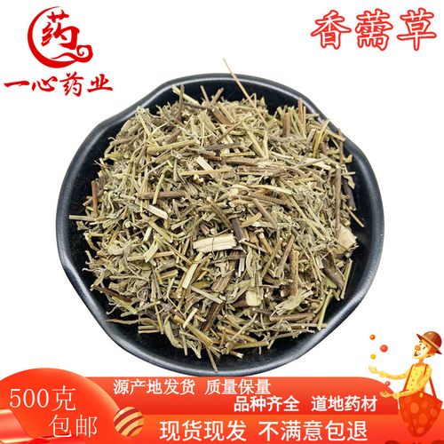 香薷草中药材  新货薷香草 香茹草 香需 香茸 新鲜干货 500克包邮