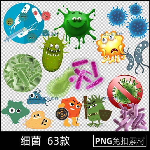 png免抠细菌卡通流行病毒细胞插图图片医疗防疫ps海报设计素材