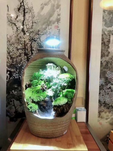 网红陶罐水陆缸桌面微景观植物陶瓷罐苔藓创意diy加湿器家具摆件