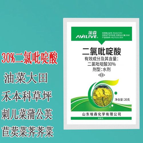 草忧愁 埃森 二氯吡啶酸除草剂 油菜田除苜蓿刺儿菜蒲公英菊科杂草灭