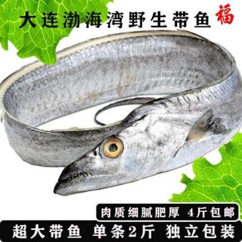正宗渤海湾野生大刀鱼刀鱼鲜活大带鱼单条单冻无冰大刀鱼海鲜水产 4斤