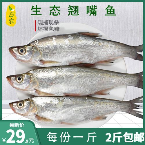 凸农新鲜翘嘴鱼大白刁白鱼刁子鱼白条鱼鲜活满2斤顺丰包邮