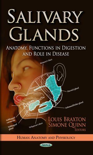 【预订】salivary glands: anatomy, functions in