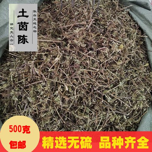 土茵陈中药材牛至草阴行草猪毛蒿铃石山西北茵陈野生土香薷满坡香