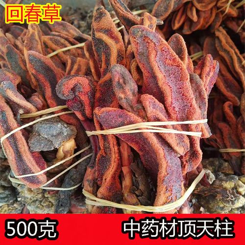 野生回春草 顶天柱 男性泡茶锁阳不老草 中药材泡酒料肾滋补500克