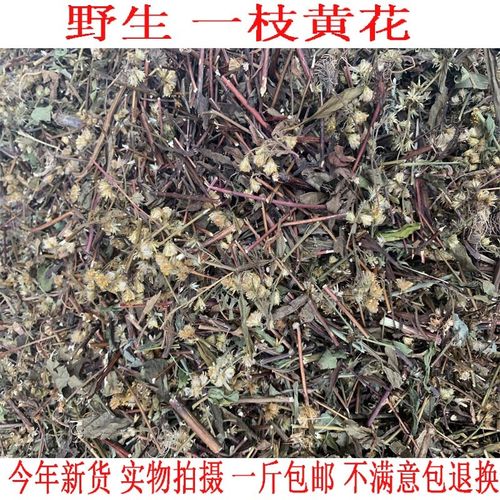 贵州野生中药材一枝黄花 干品百根草老虎尿500g包邮优质现货新品