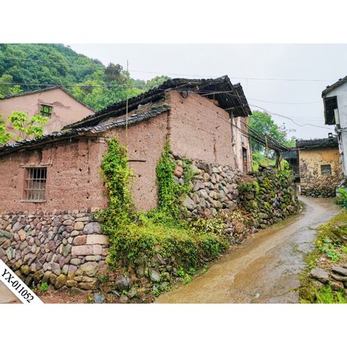 网红真实新款直播农村院落土墙房屋3d立体抖音玉米房田园风景网红背景