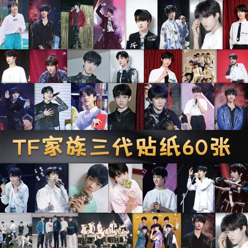 tf家族三代贴纸朱志鑫左航苏新皓张极张泽禹周边手帐装饰贴画防水