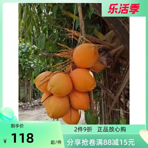 海南带皮红椰子嫩椰子清甜多汁天然水一件九个装