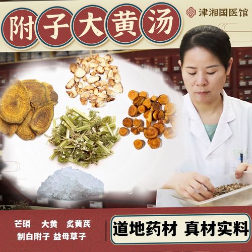 津湘 附子大黄汤 温补脾肾通脏降浊利尿泻毒 制白附子大黄炙黄芪芒硝