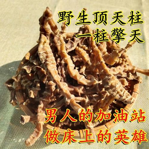 顶天柱 阳鞭劲:云南苗家腾冲特产野生中草药搭配顶天雄泡酒淫花果