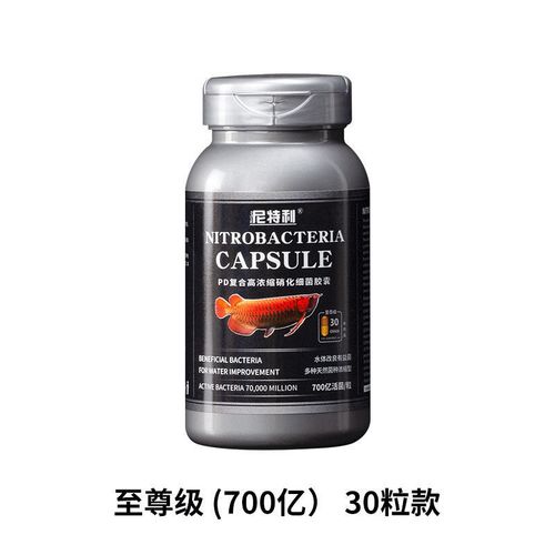 尼特利硝化细菌鱼缸用消化细菌胶囊鱼缸硝化菌鱼缸净水剂稳定剂