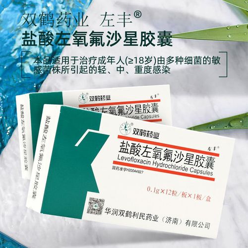 左丰 盐酸左氧氟沙星胶囊 0.