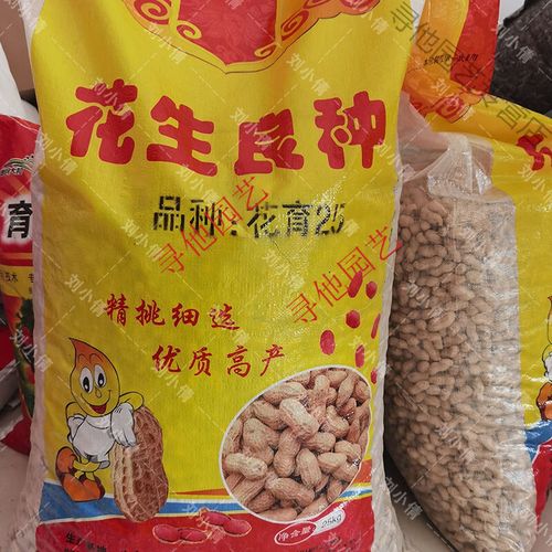 高产花生种子原种早熟花生种子农科院四粒红花生籽瓜果种子新品种 花