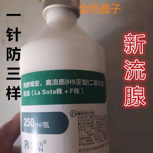 乾元浩新流腺三联灭活疫苗 新城疫 禽流感h9 腺病毒 安卡拉