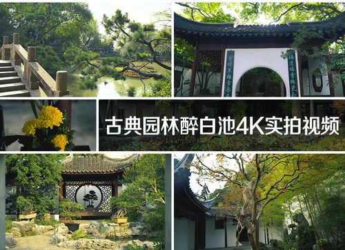 中国古典园林上海醉白池公园4k实拍视频素材江南人文景观名胜古迹