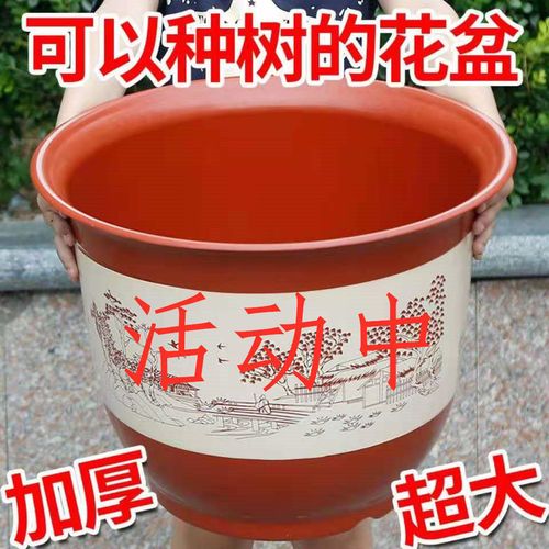 (送托盘)花盆批发牡丹花盆大号大口径果树批发价火龙果防陶瓷盆【6月8