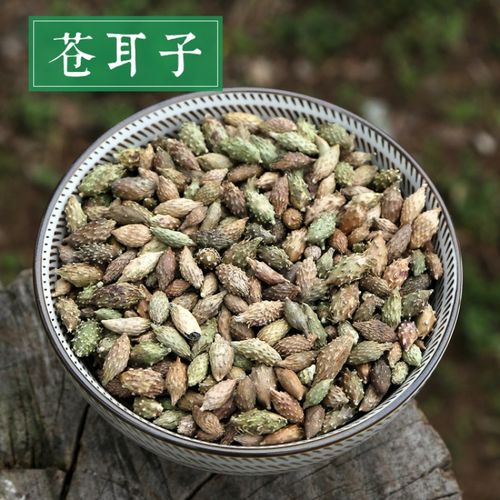 耕药堂 苍耳子 野仓耳子泡茶 100g 单件品鉴装