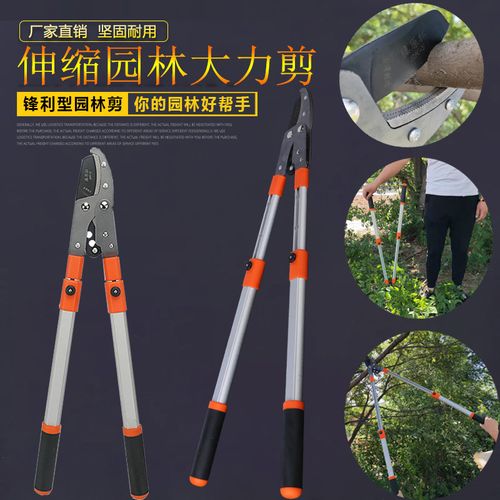 园林工具伸缩大力粗枝剪修枝剪园艺果枝剪果树剪高枝剪
