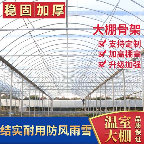 625/825型大棚骨架蔬菜大棚温室钢架大棚热镀锌钢管养殖多肉大棚 6*40